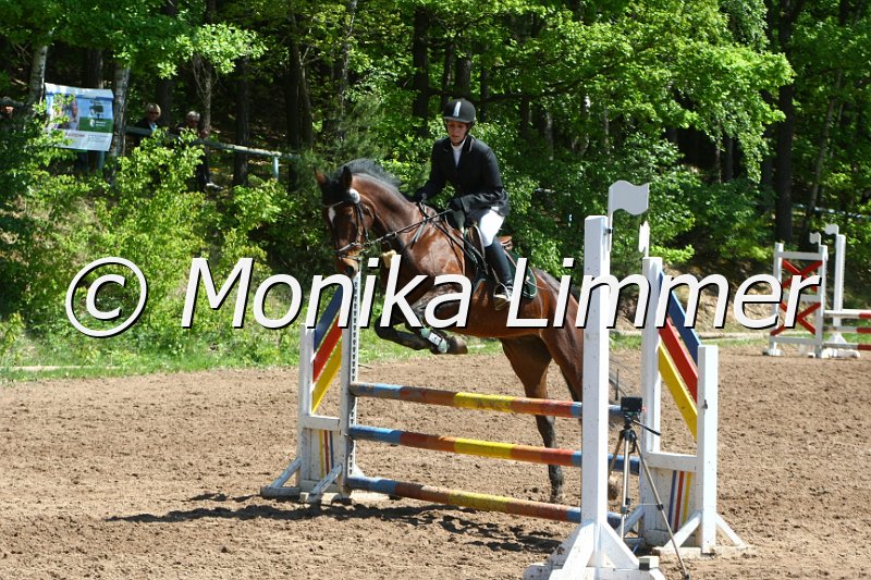 104M8355_SpringWB E.JPG